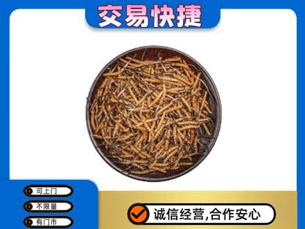 潍坊市青州回收散虫草